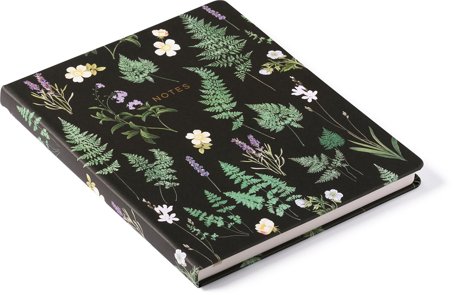 Fern Desk Journal