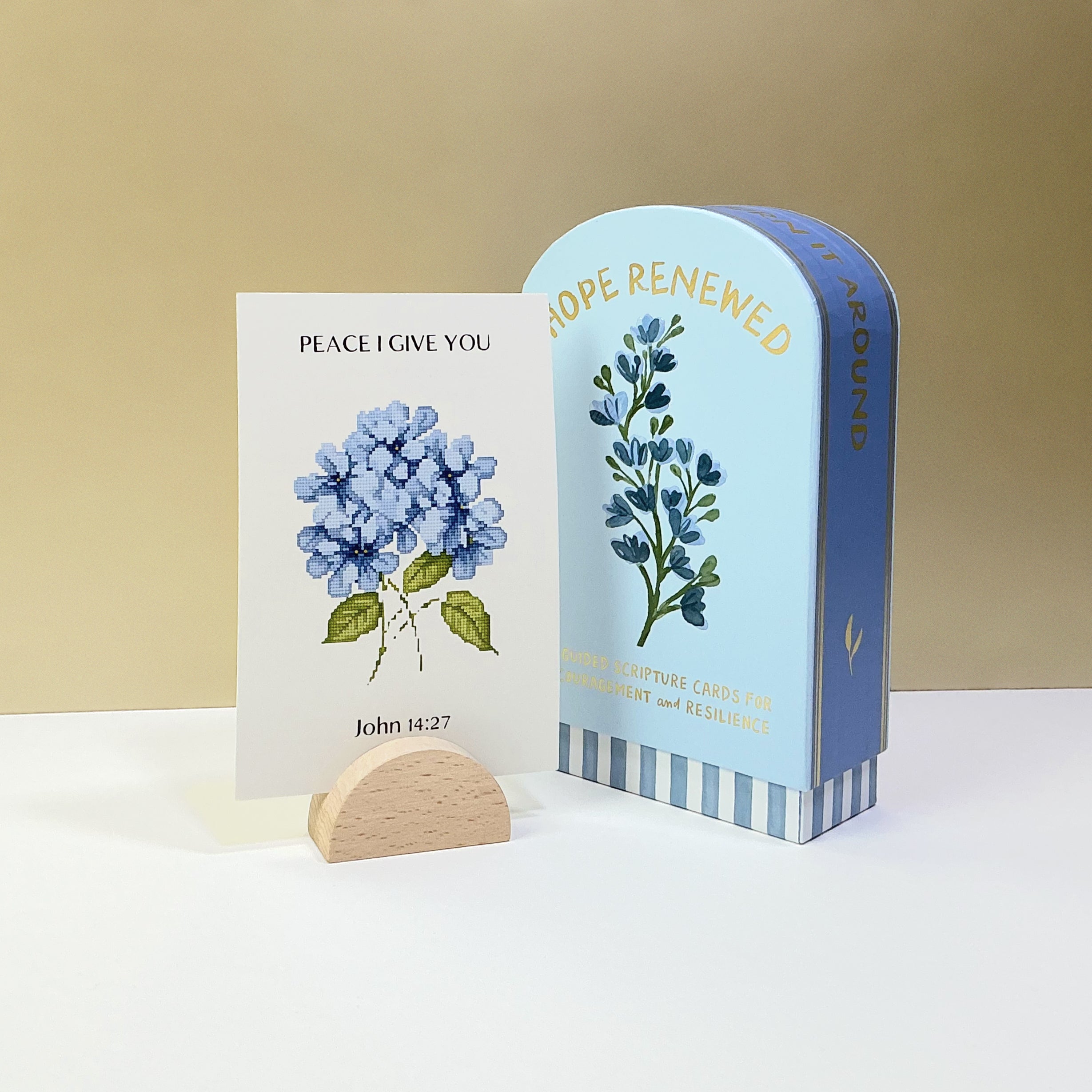 Hope Renewed Prayer Cards