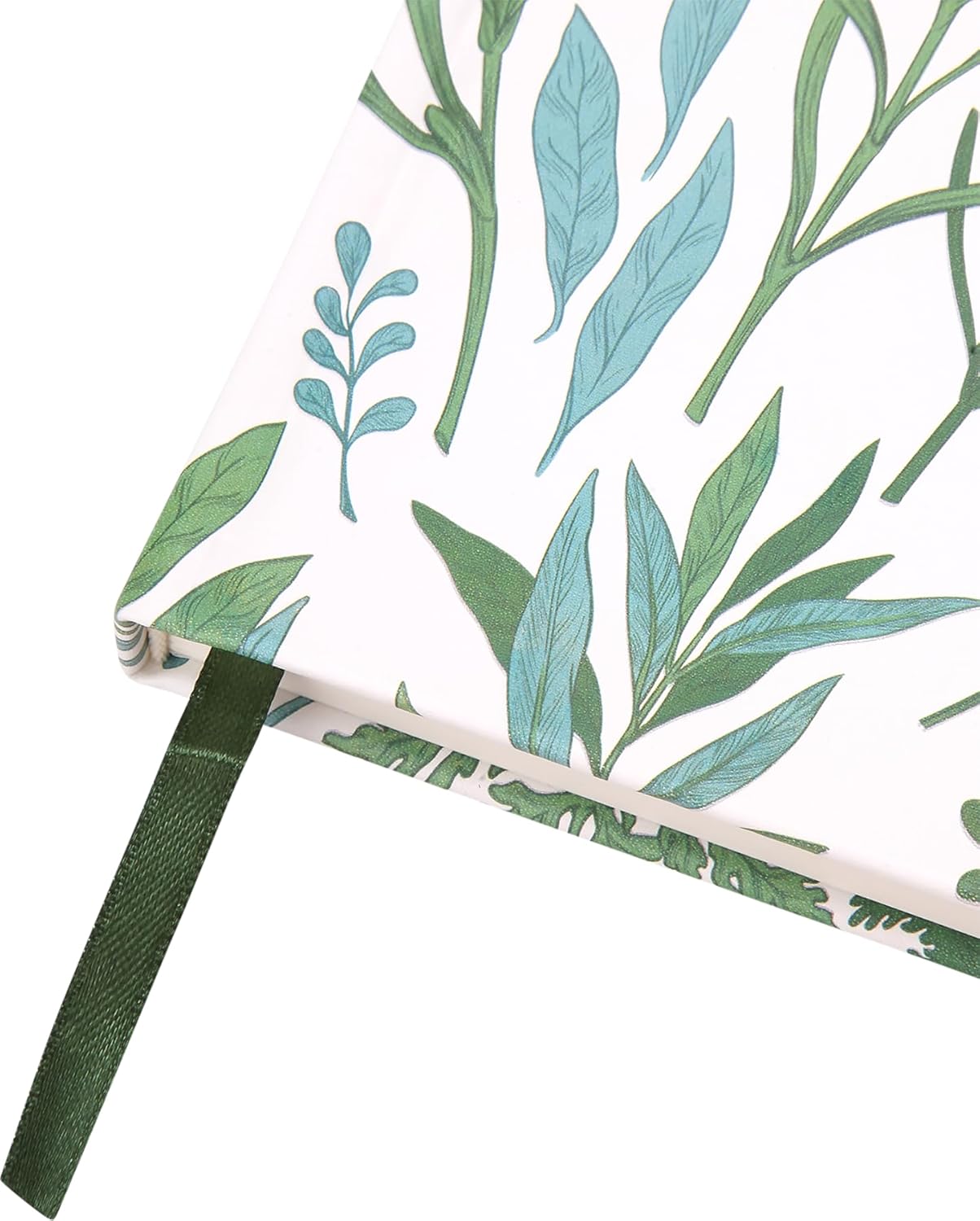 Modern Botanical Journal