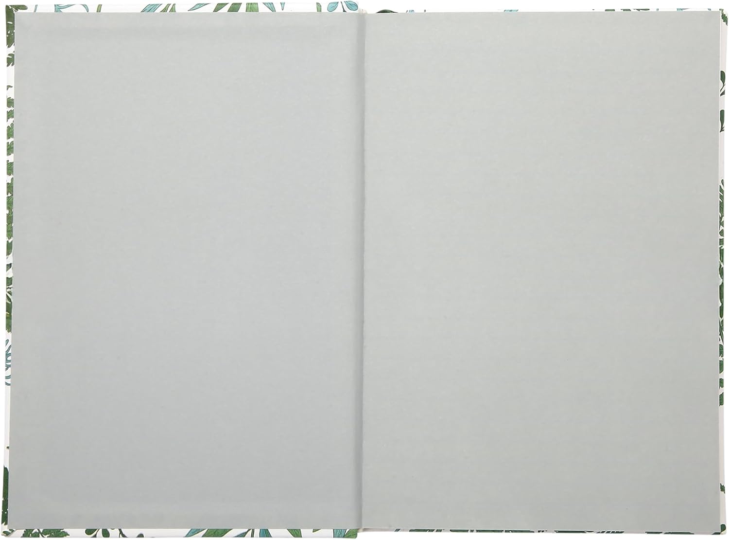 Modern Botanical Journal