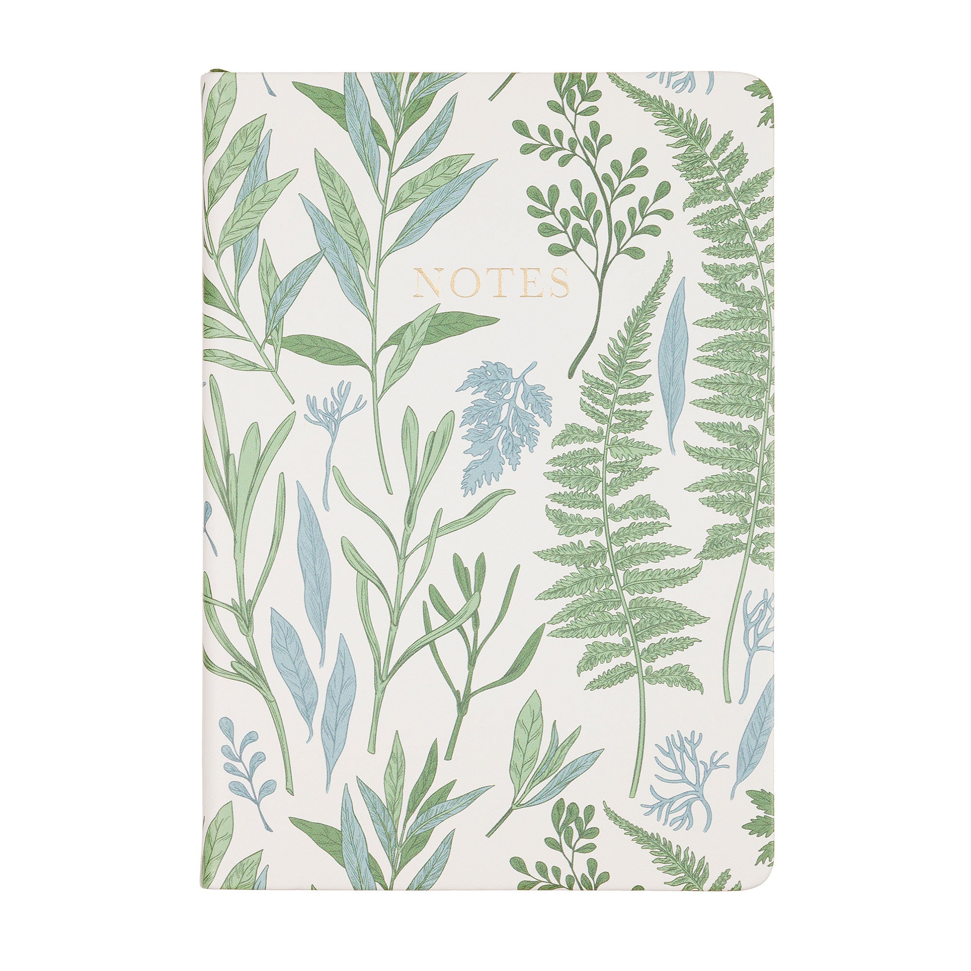 Modern Botanical Journal