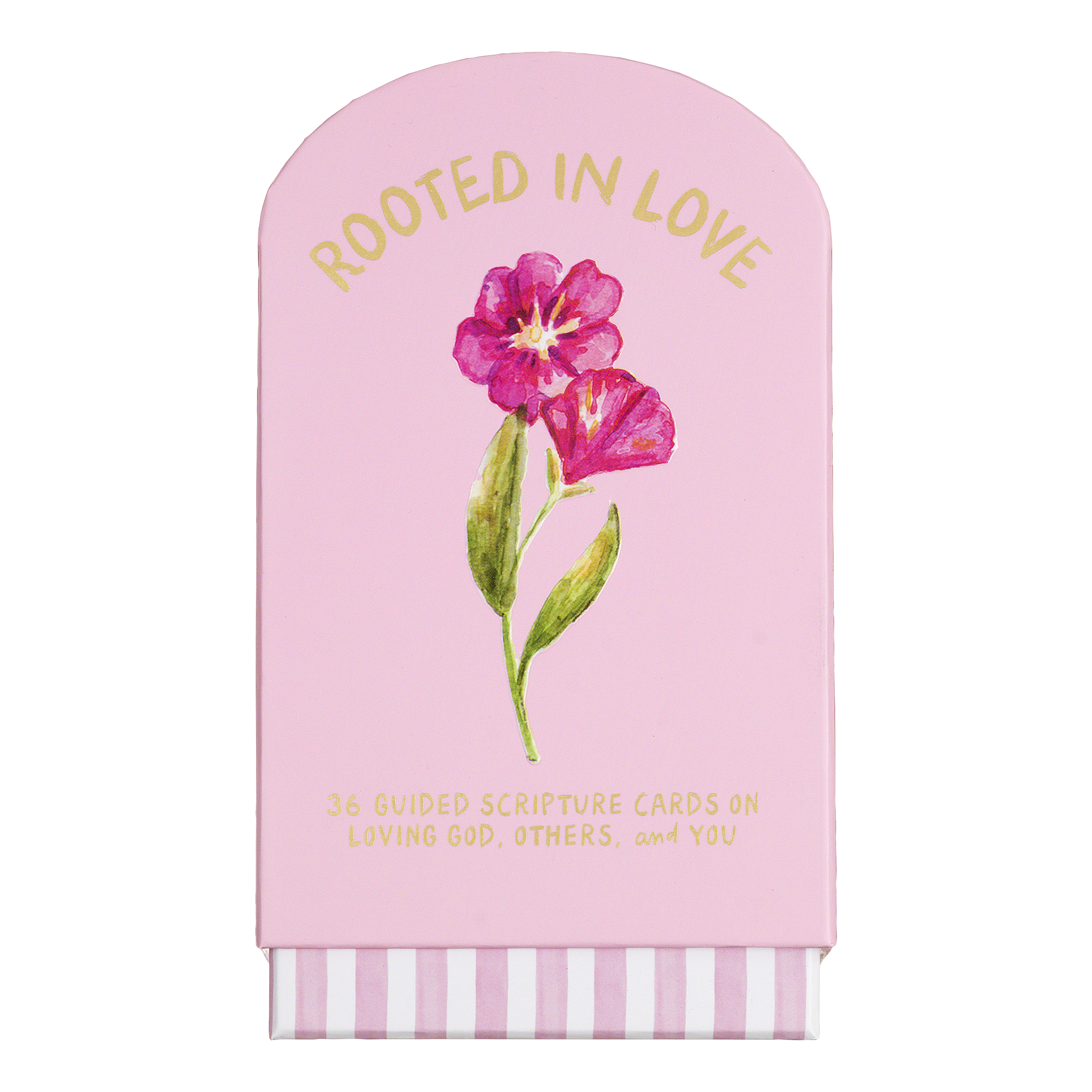 Rooted in Love Prayer Cards